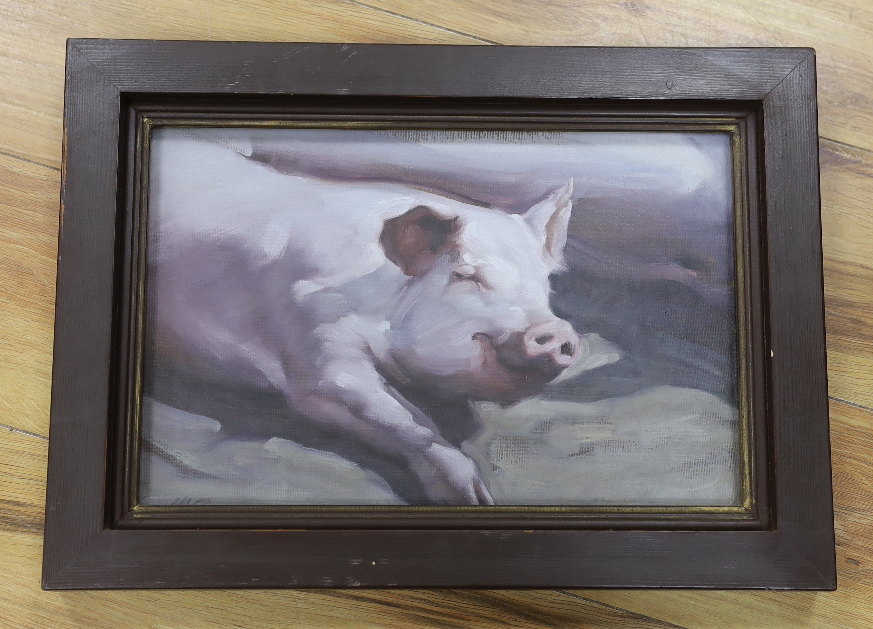 M.J.C.L, oil on board, Study of a sleeping pig, initialled, 35cm x 22cm